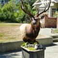 Floor Pedestal Elk